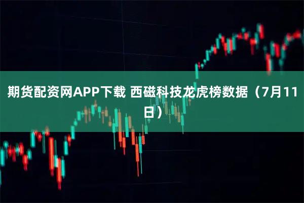 期货配资网APP下载 西磁科技龙虎榜数据（7月11日）