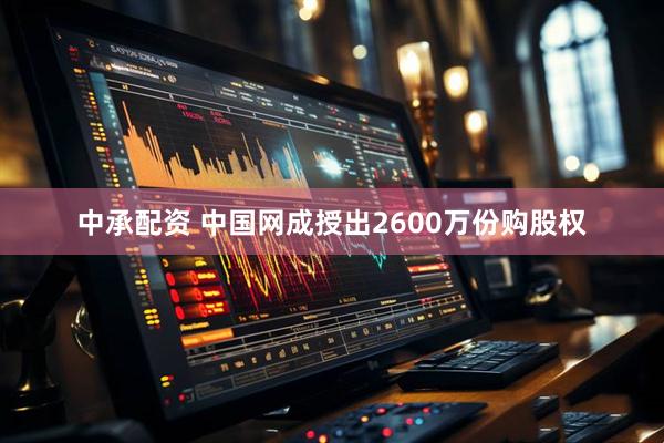 中承配资 中国网成授出2600万份购股权